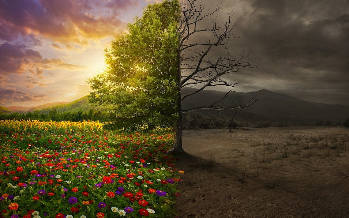 ©Kevin Carden/stock.adobe.com